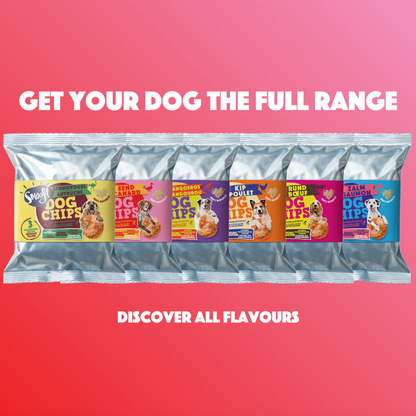 Dog Pops | Duck