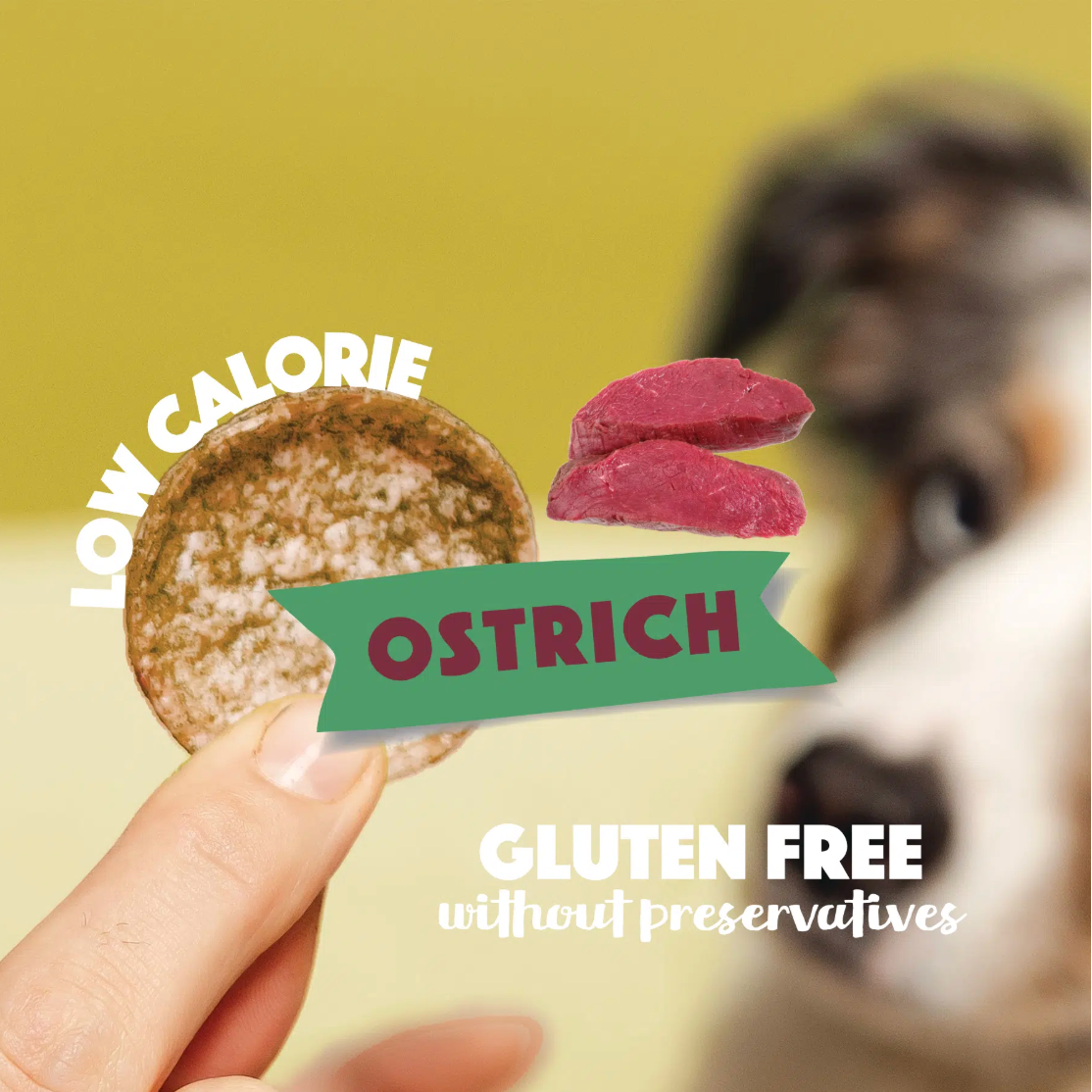 Dog Pops | Ostrich