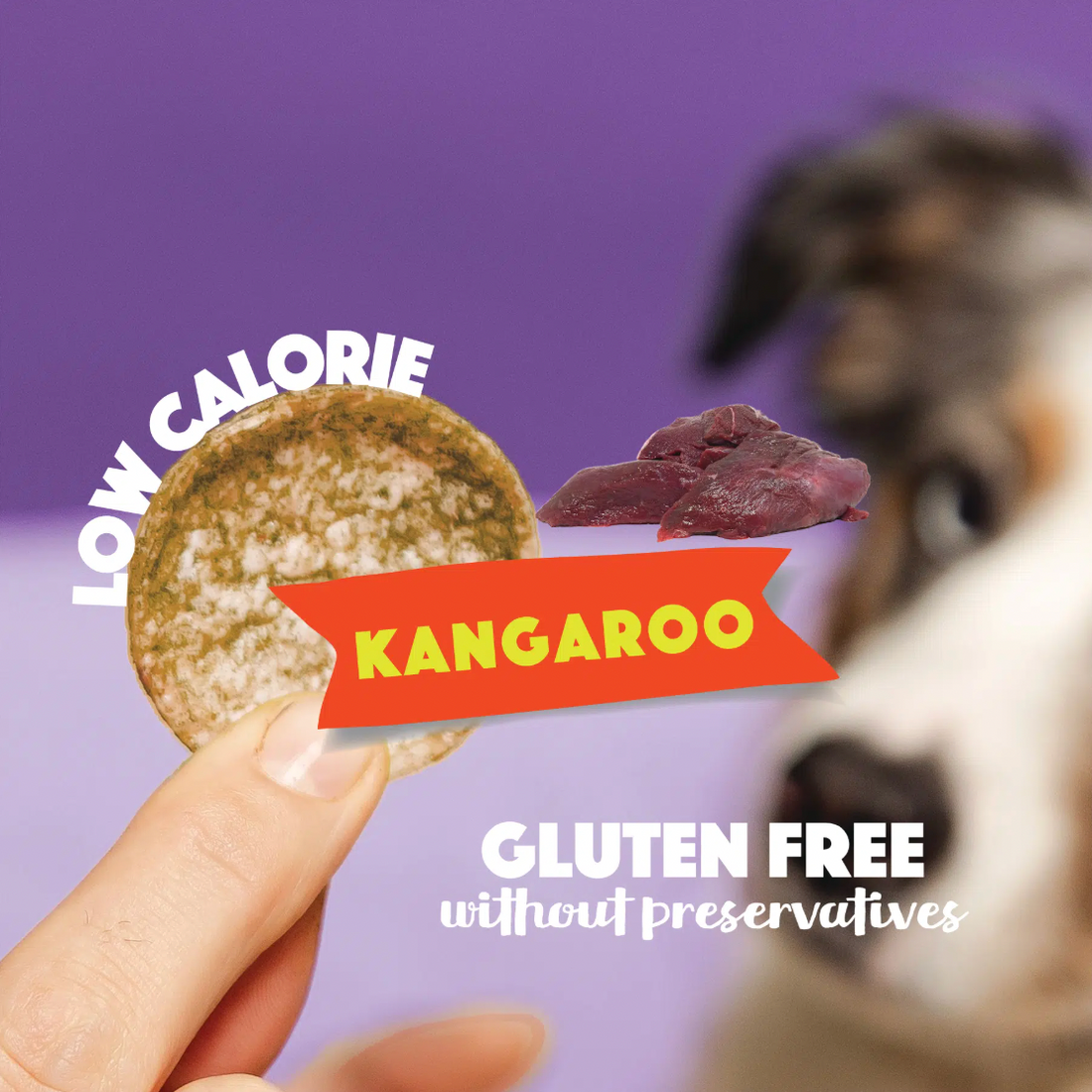 Dog Pops | Kangaroo
