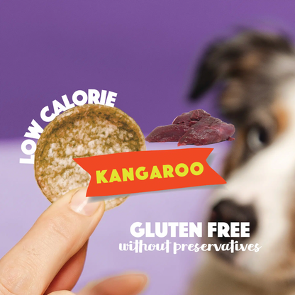 Dog Pops | Kangaroo