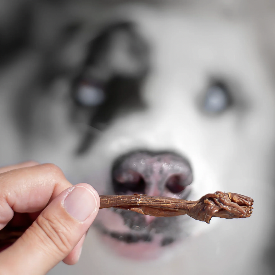 Pork Spawghetti | Air Dried Treats