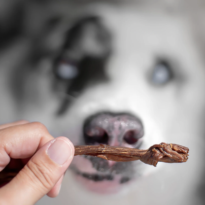 Pork Spawghetti | Air Dried Treats