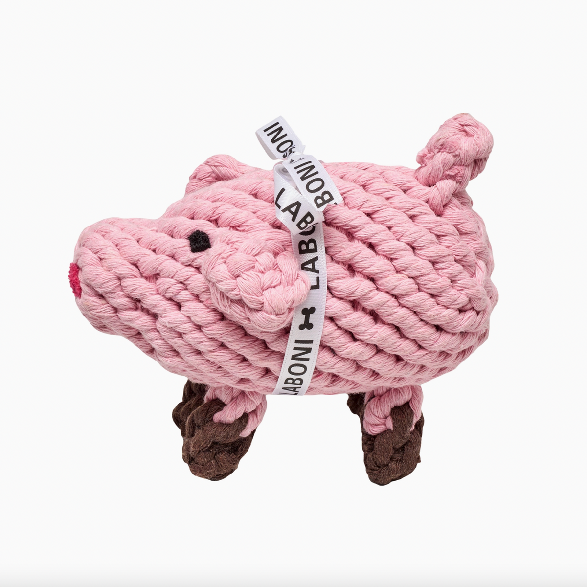 Piggy Pig