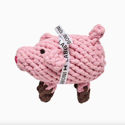 Piggy Pig