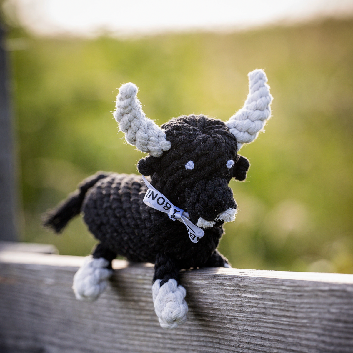 El Toro