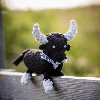 El Toro