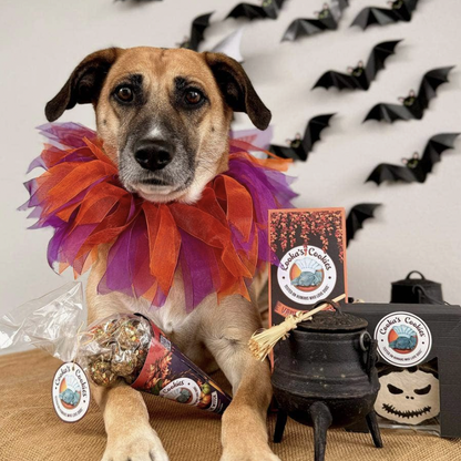 Kiss The Witch | Turkey &amp; Pumpkin Halloween Treats