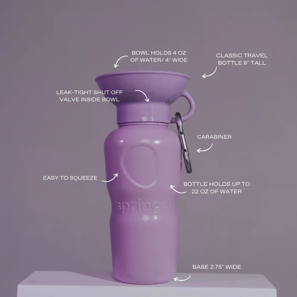 Travel Water Bottle - Lilac