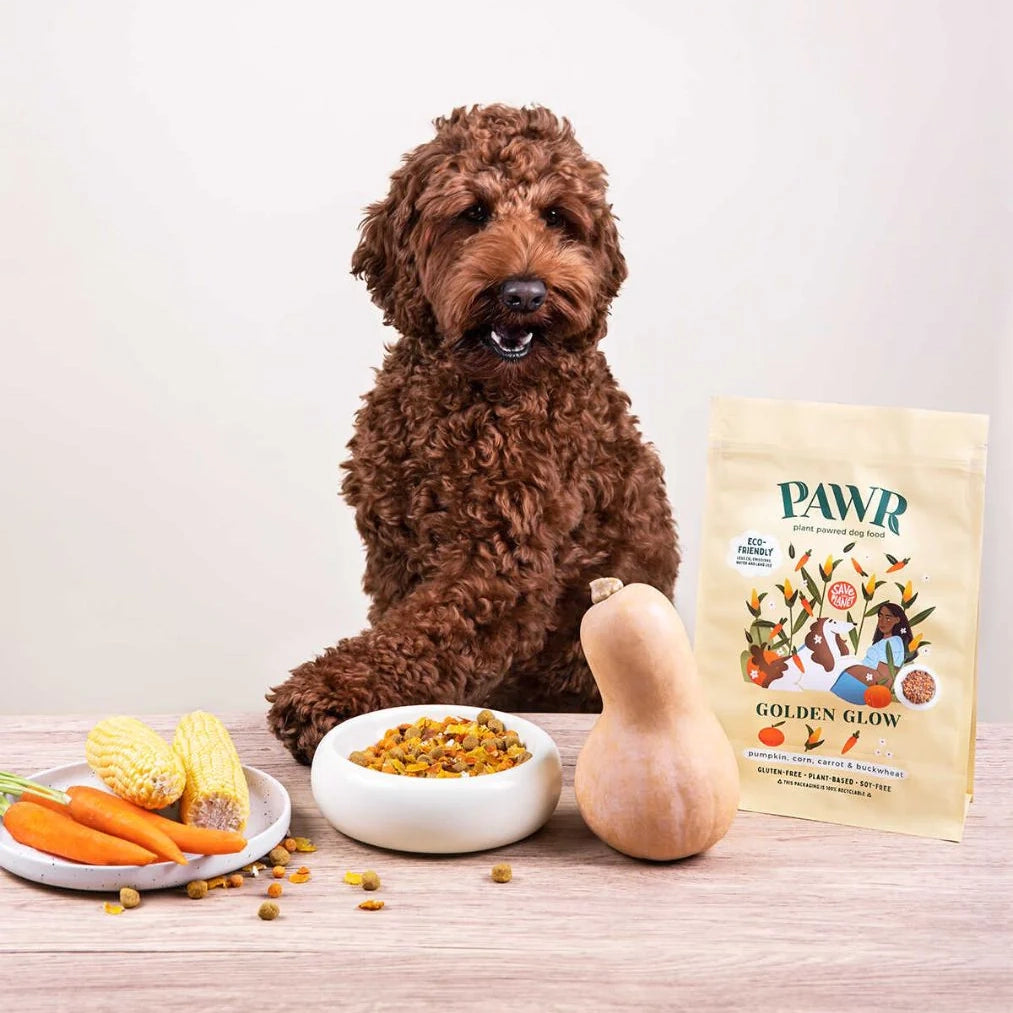 Plant-Based Dog Food - Golden Glow