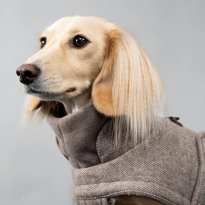 Cloud7 Brooklyn Coat DACHSHUND - Tweed Beige