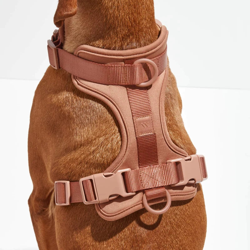 Dog Harness - Cocoa