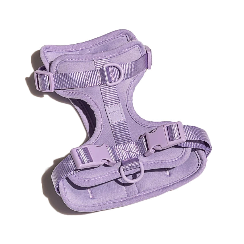 Dog Harness - Lilac