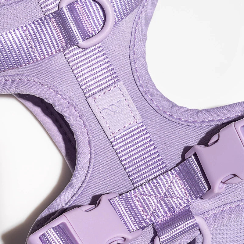 Dog Harness - Lilac