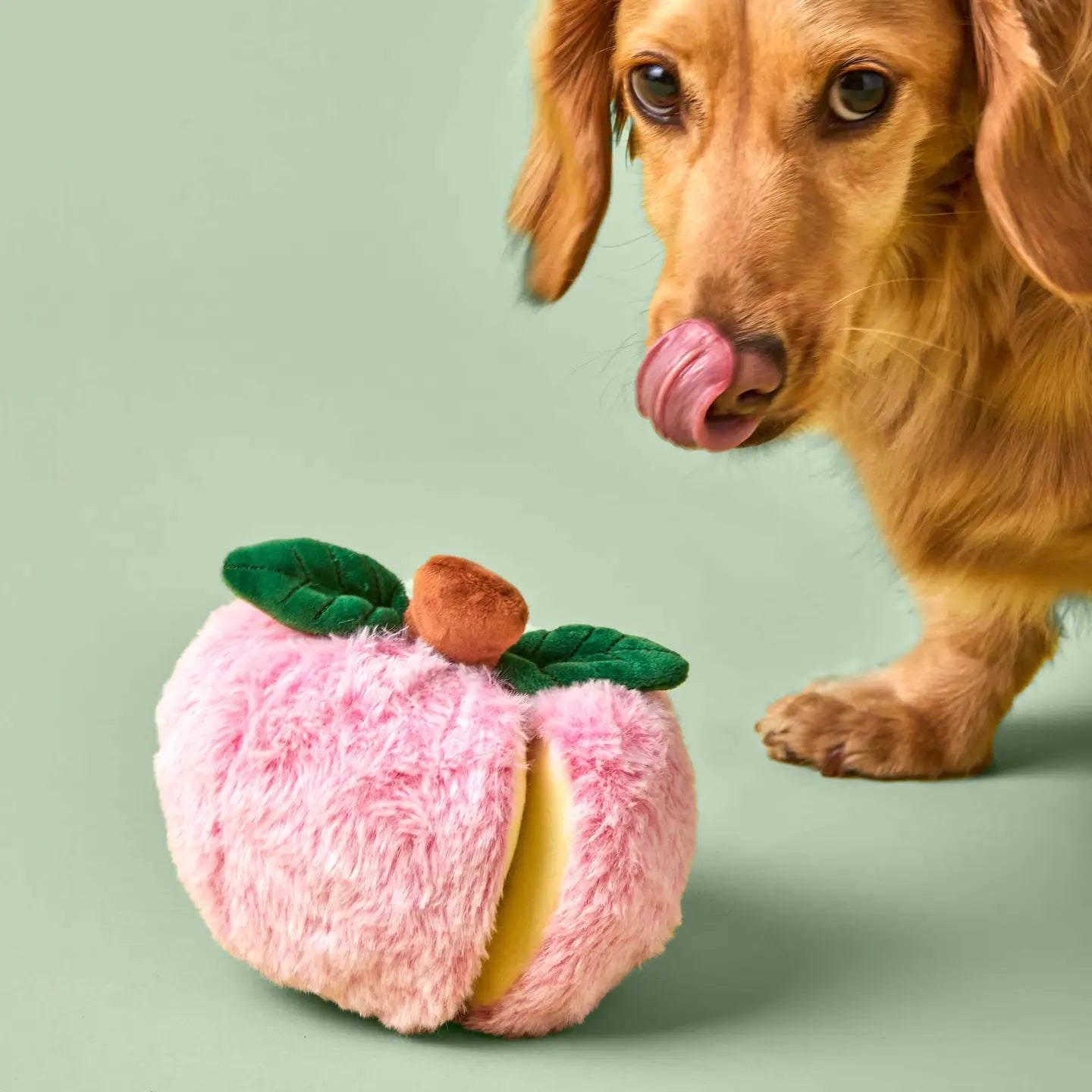 Apple Interactive Snuffle Dog Toy