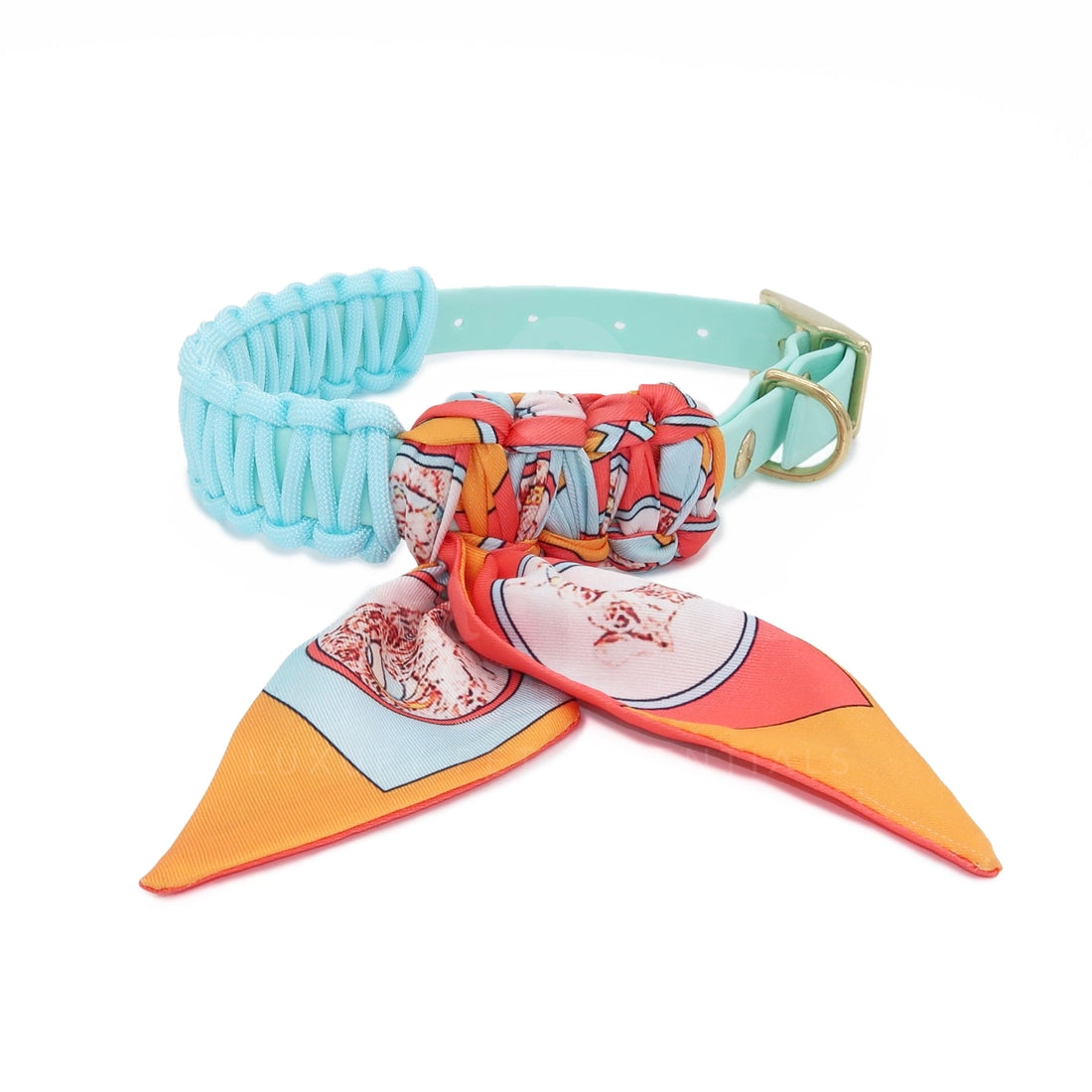 Foulie Collar | Amalfi Pup