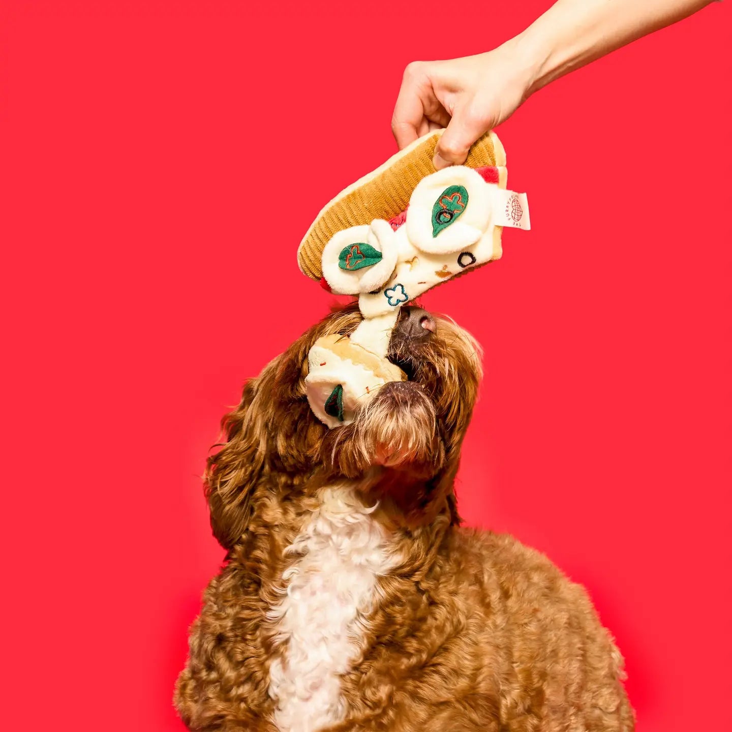 Pizza Nosework Toy