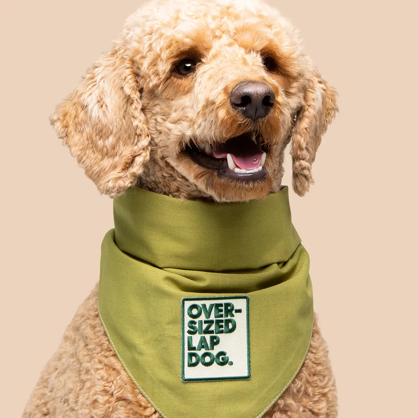 Oversized Lap Dog Badge