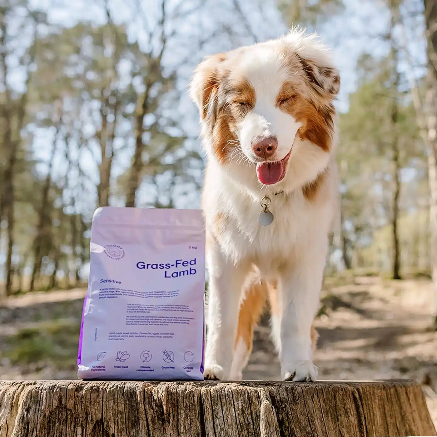 Grass Fed Lamb｜Sensitive｜Dog Kibble｜100% Grain Free Dog Food