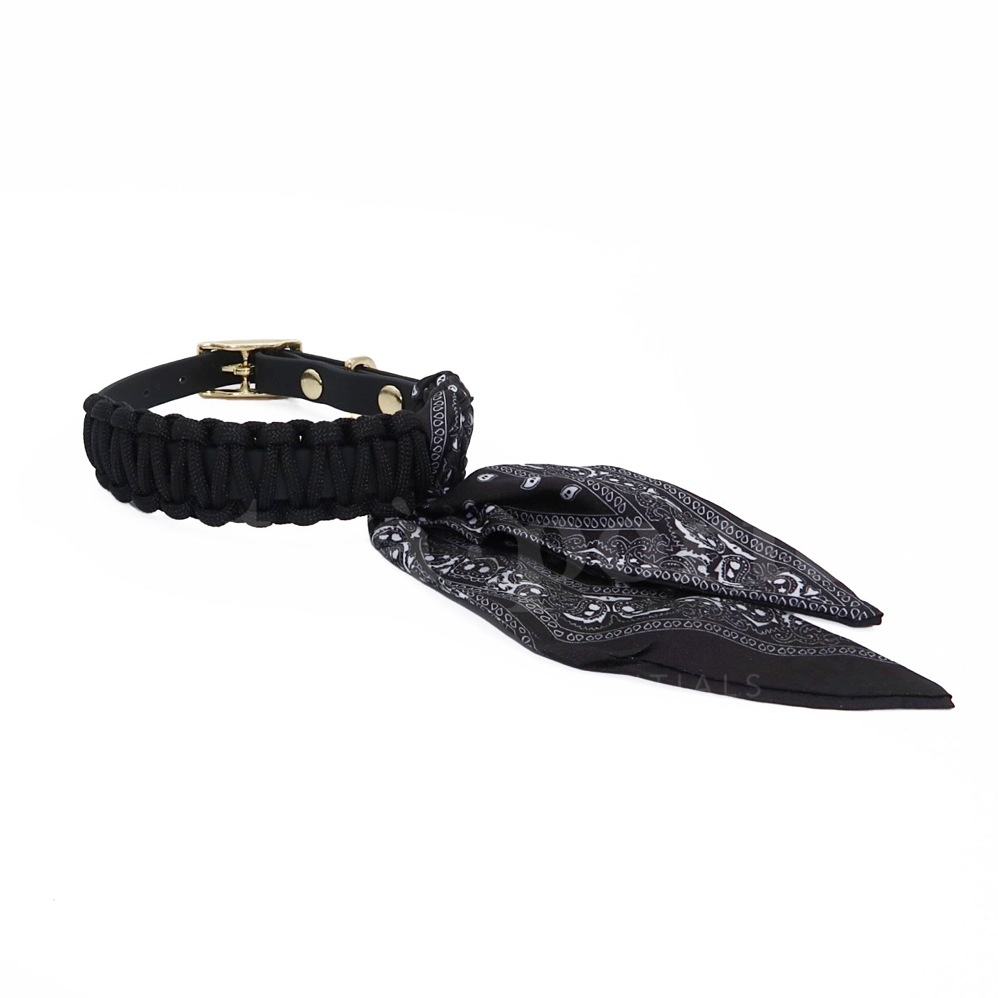 Foulie Collar | Black Bandit