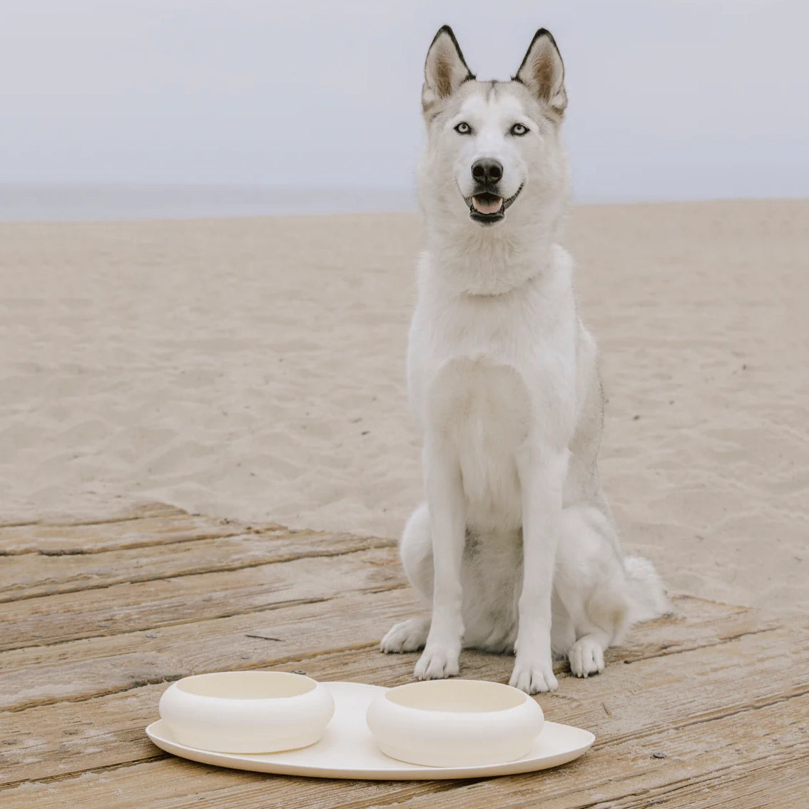 Bubble Silicone Bowls &amp; Mat Set