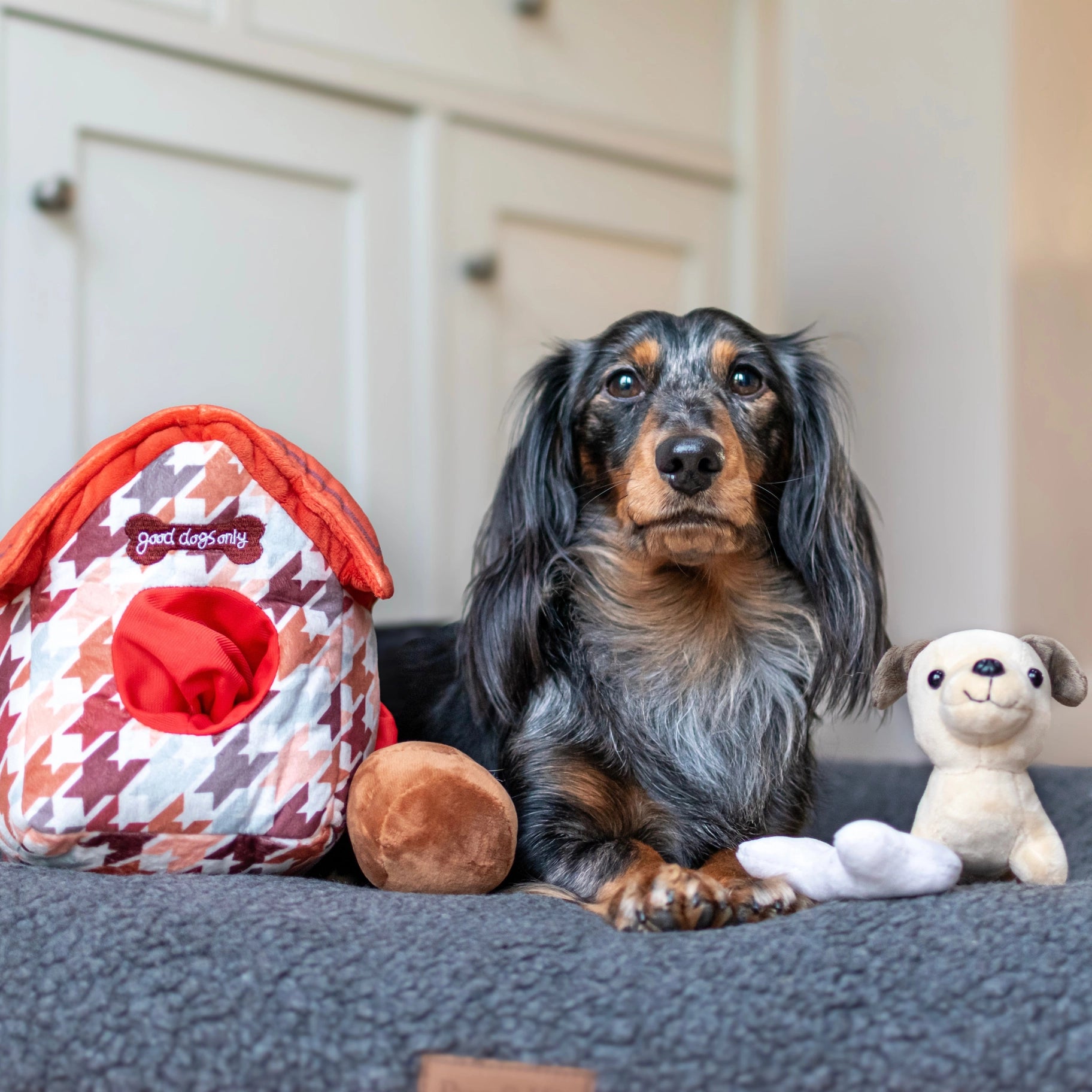 &quot;Good Dogs Only&quot; Dog Snuffle House