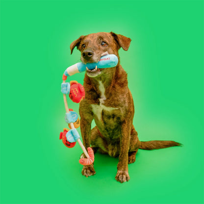 Fishing Nose Work &amp; Tug Toy