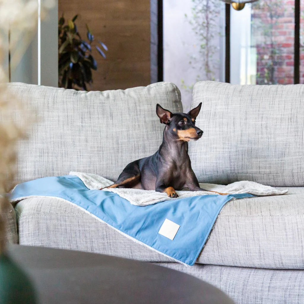 Reversible Blanket | French Blue