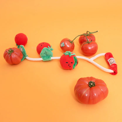 Cherry Tomato Nose Work &amp; Tug Toy
