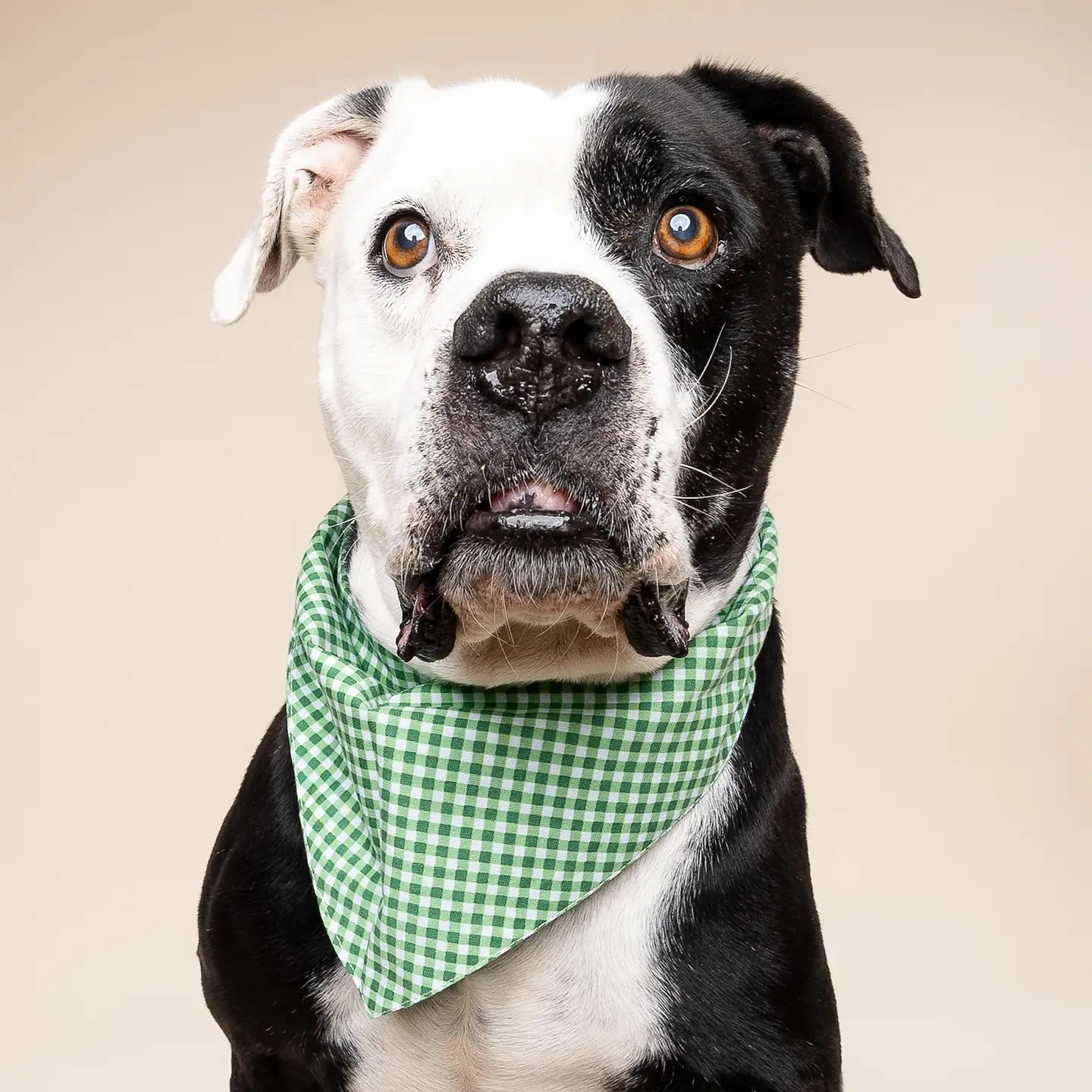 Green Gingham Bandana