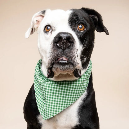 Green Gingham Bandana