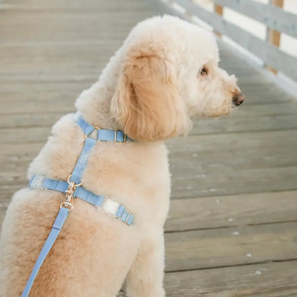 Waterproof Dog Harness - Malibu Blue