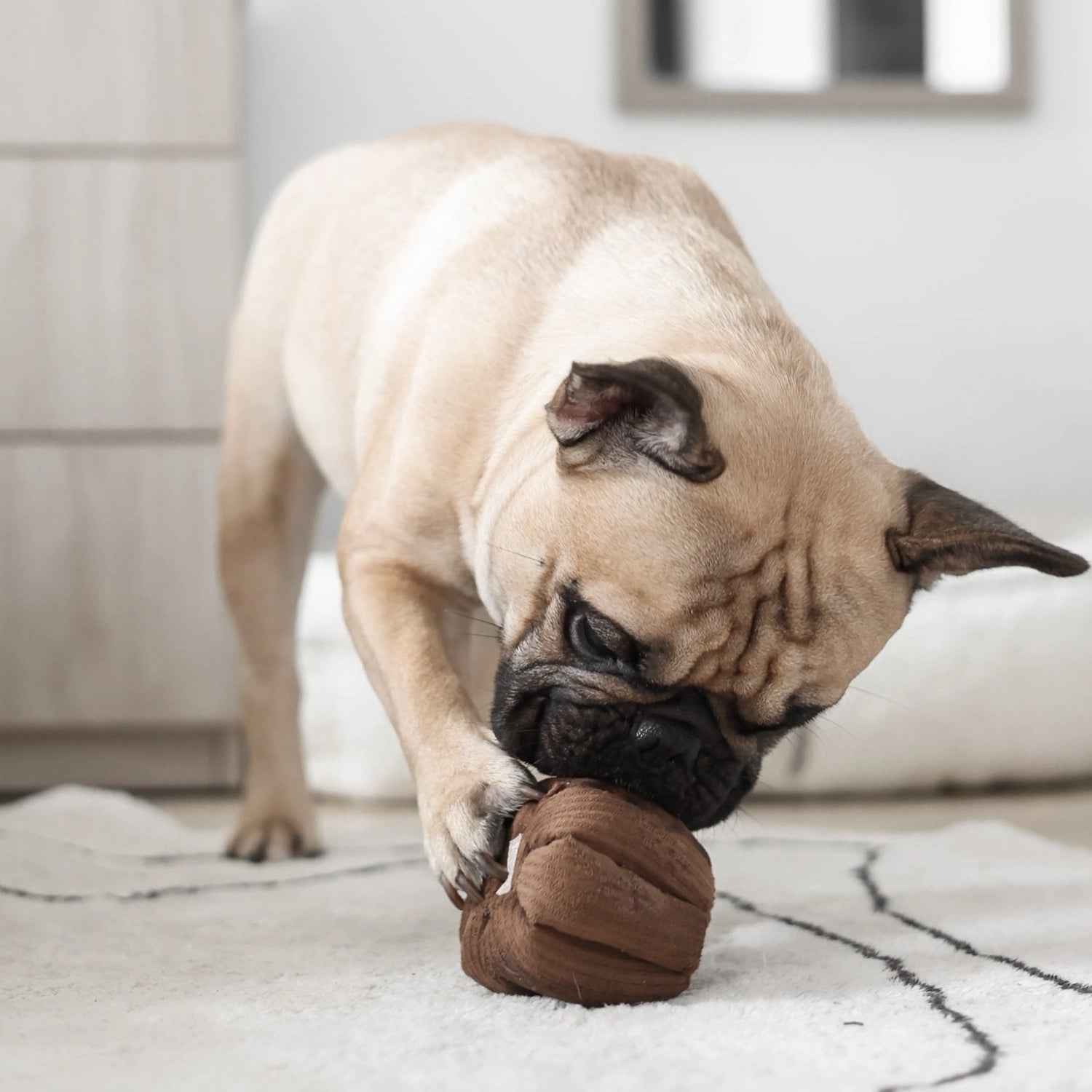 Canele | Enrichment Dog Toy