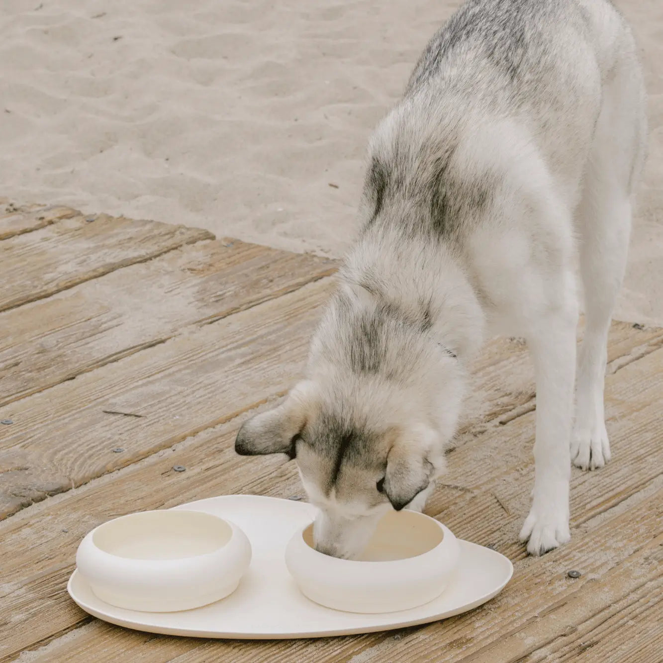 Bubble Silicone Bowls &amp; Mat Set