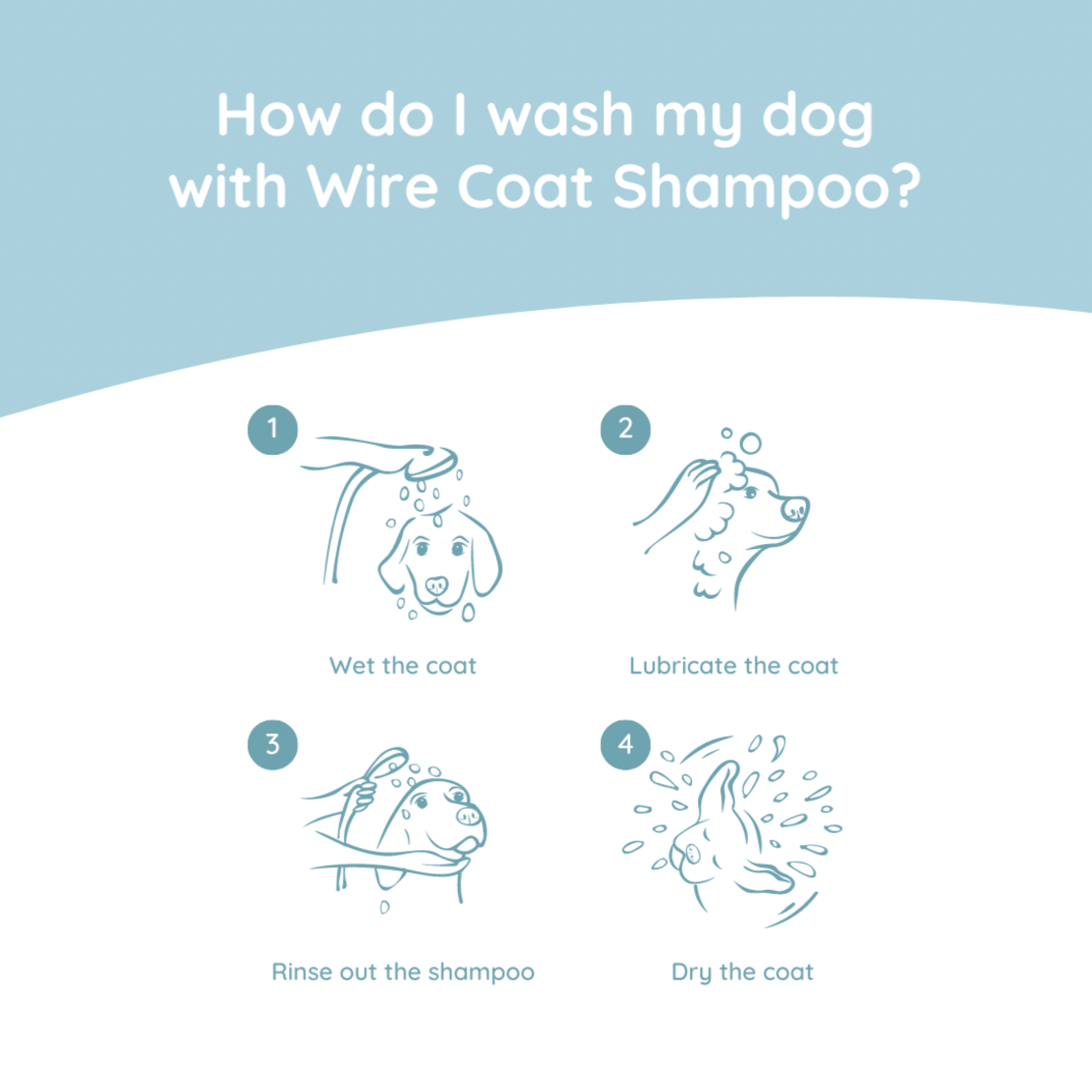 Dachshund Care Set | Wire Coat
