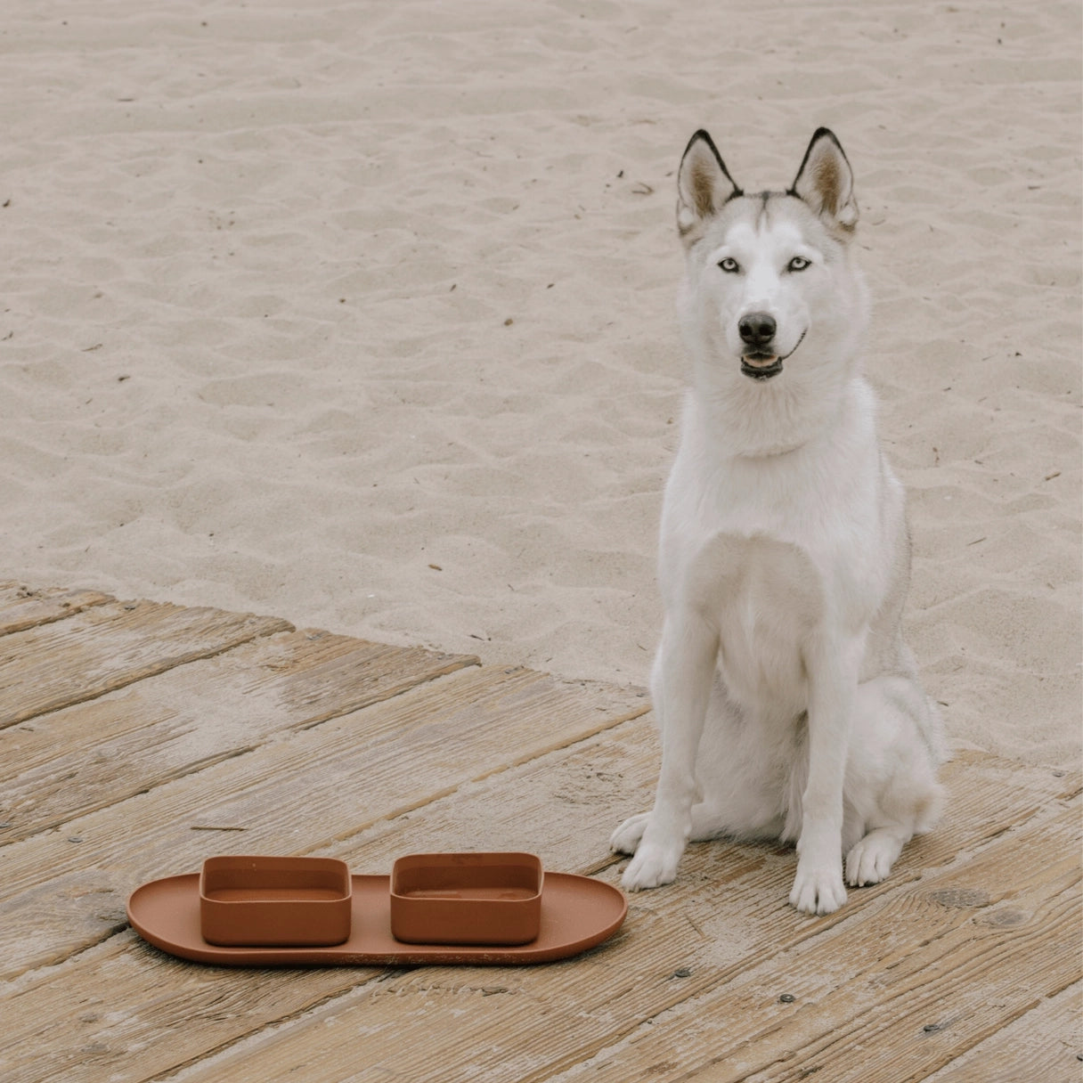 Square Silicone Bowls &amp; Mat Set