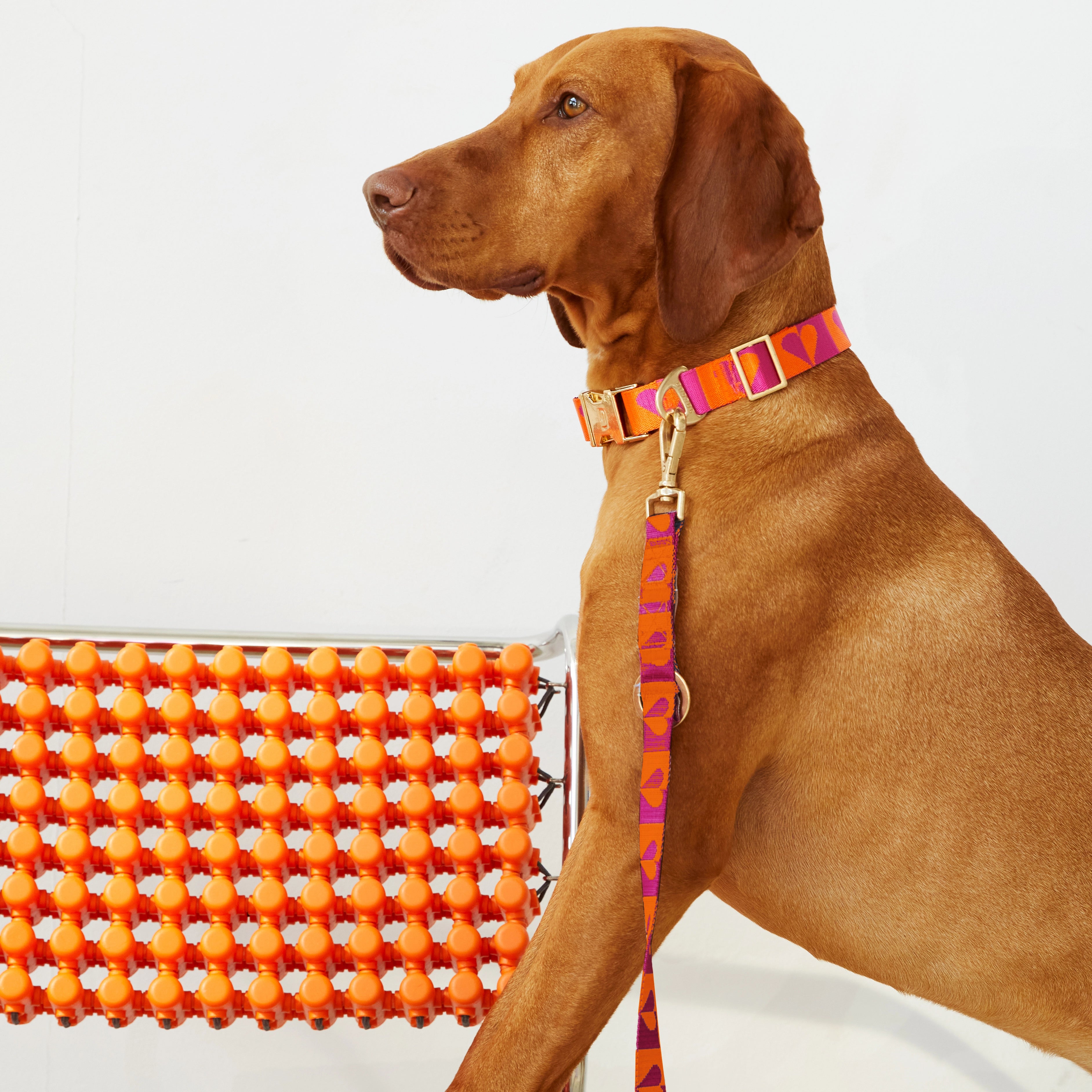 Heart Collar - Orange/Raspberry