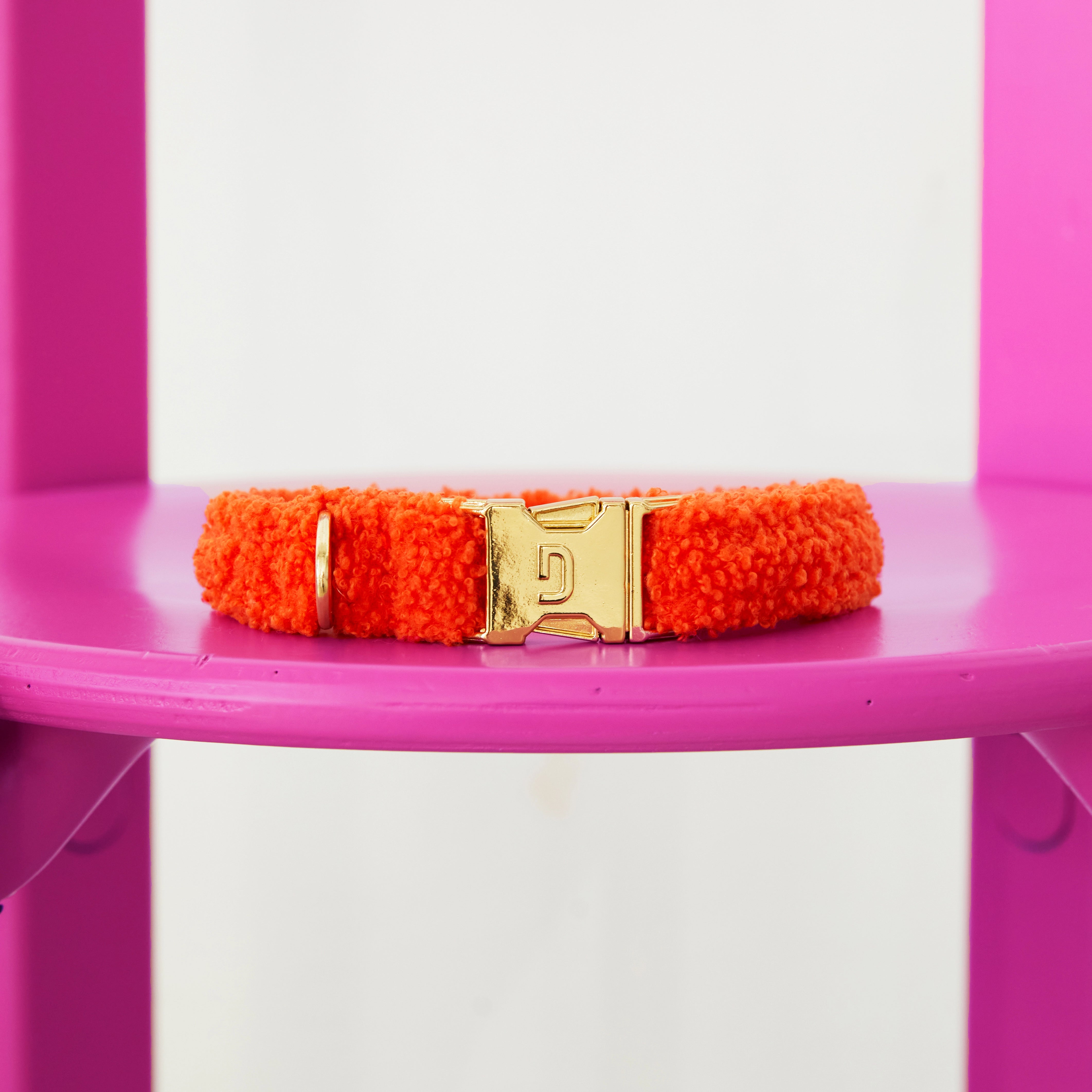 Teddy Collar - Orange