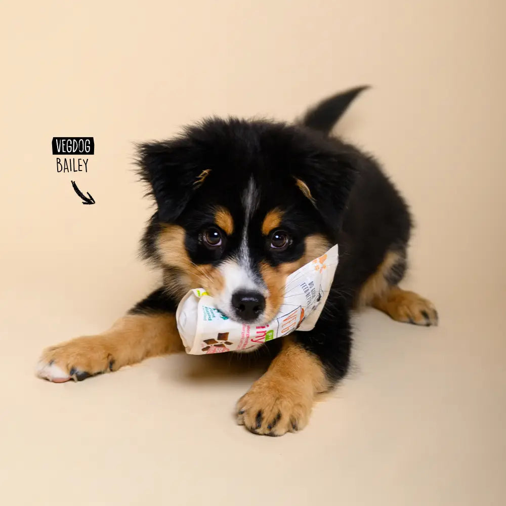 VEGDOG - Puppy Brainy Bites