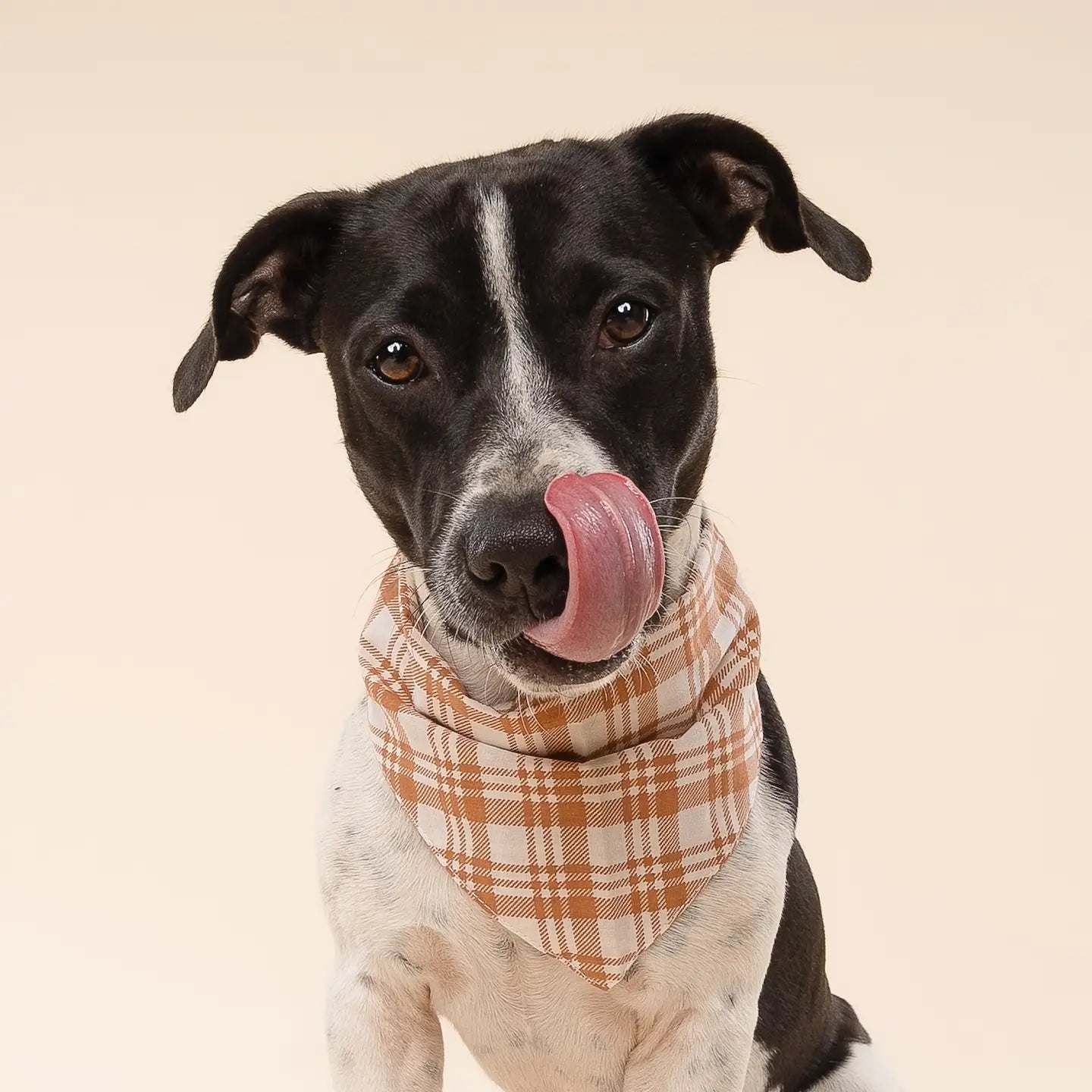Ginger Plaid Bandana