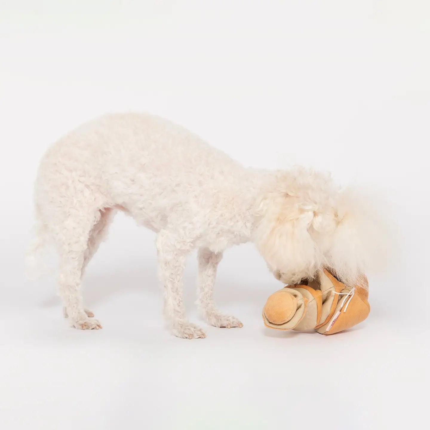 Yellow Onion Nosework Toy