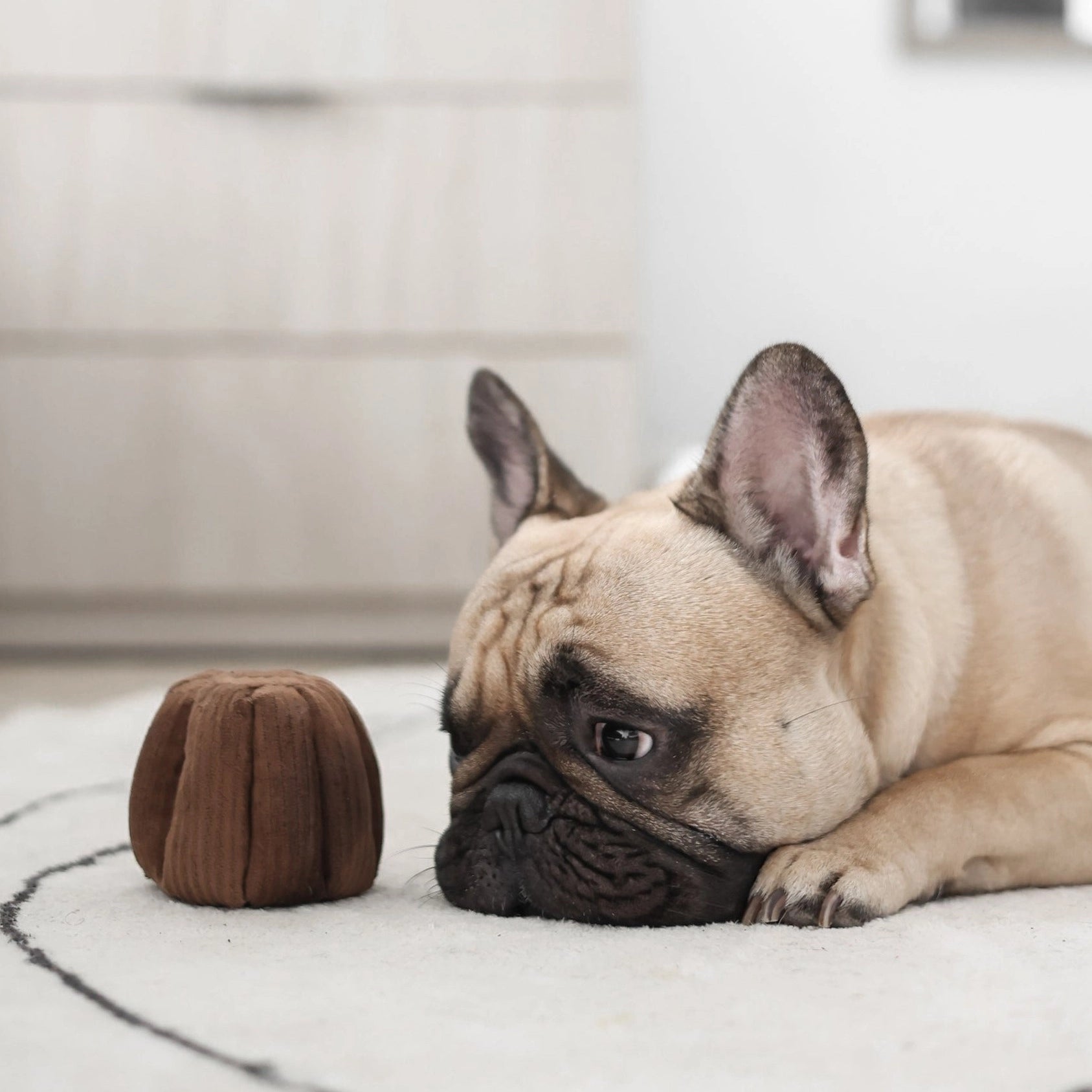 Canele | Enrichment Dog Toy