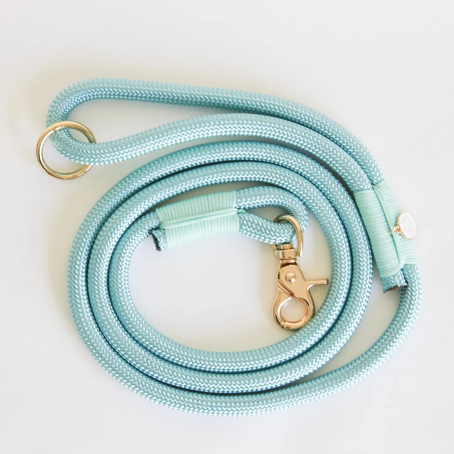 Braided Rope Leash - Aqua
