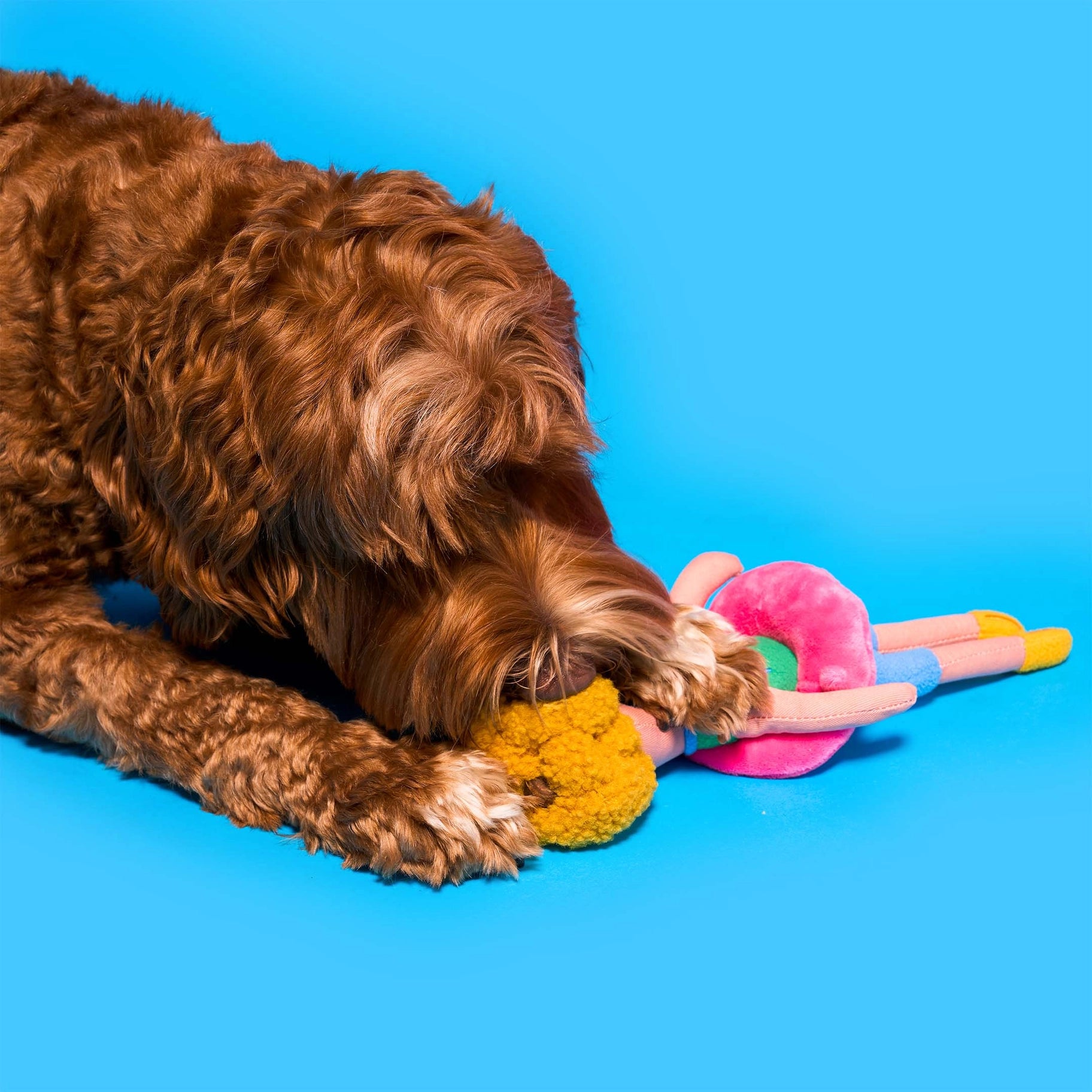 Hooman Nosework Toy - Flamingo