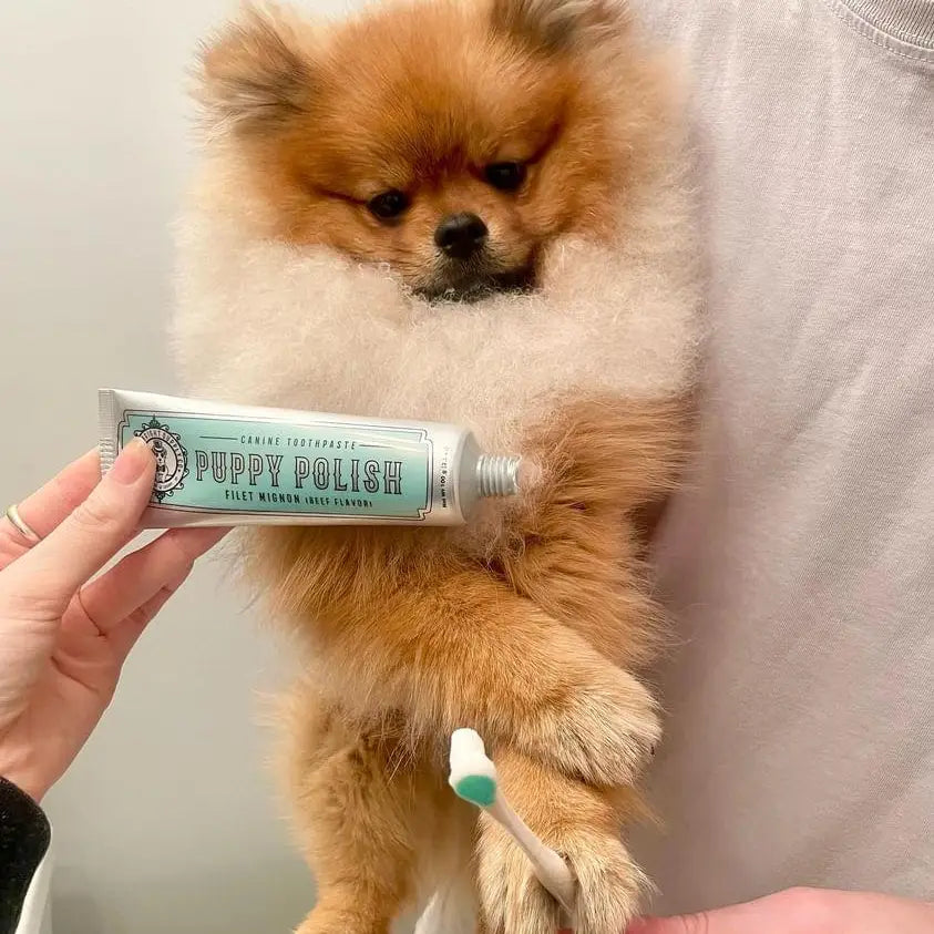 Puppy Polish Natural Dog Toothpaste | Filet Mignon (Beef)