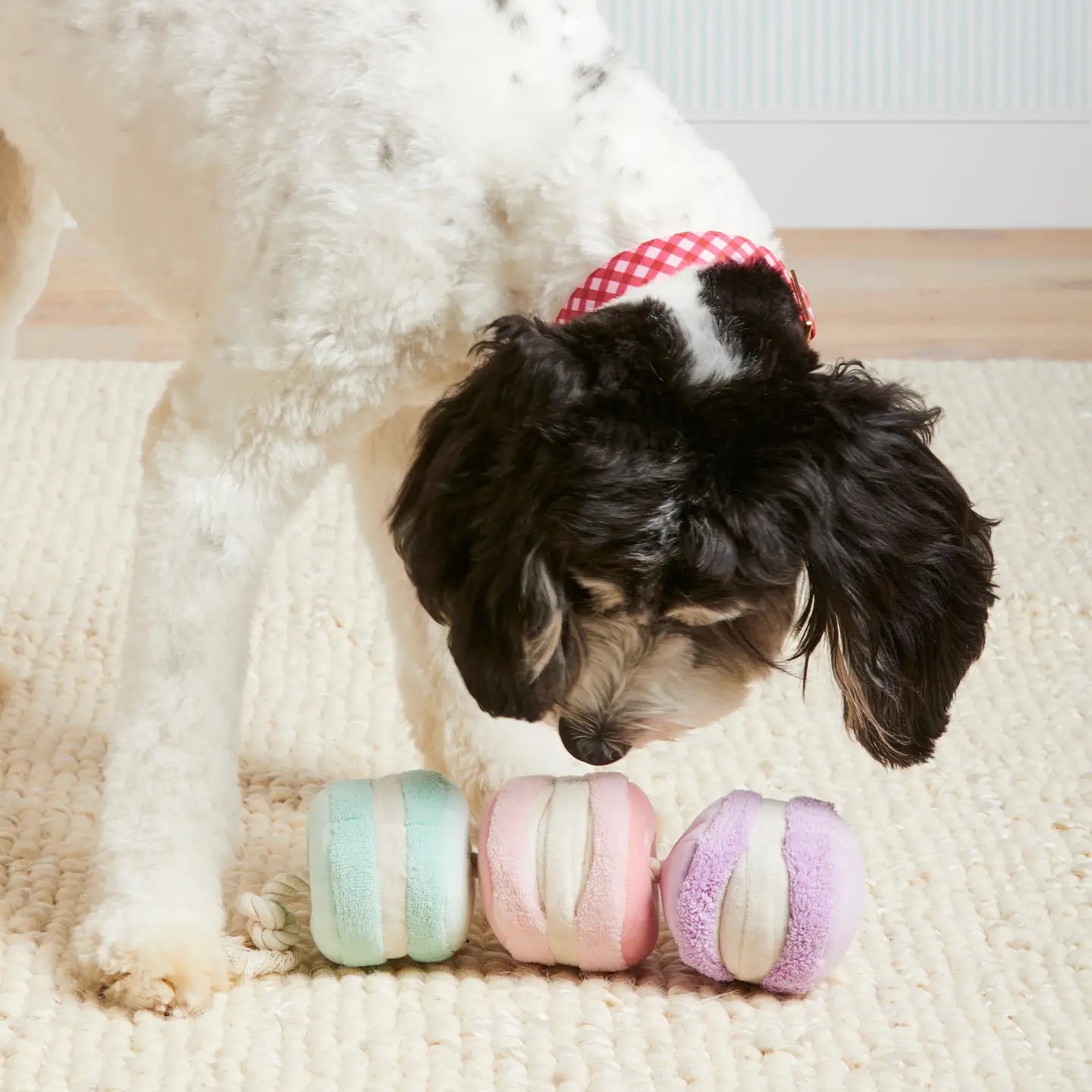 Macarons Interactive Snuffle Rope Dog Toy