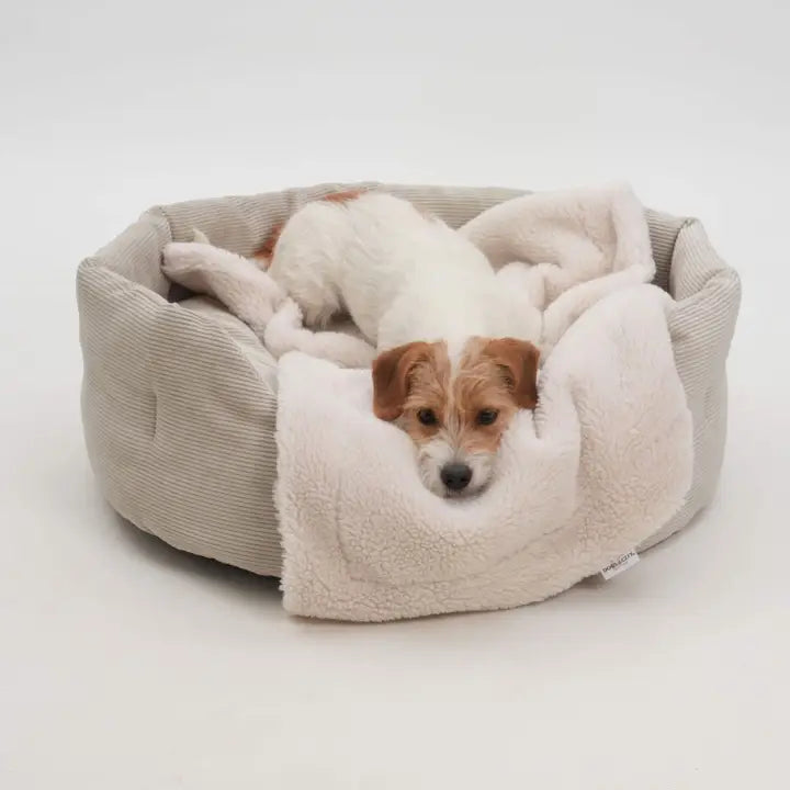 Dog Basket Corduroy | Taupe