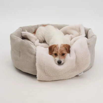 Dog Basket Corduroy | Taupe