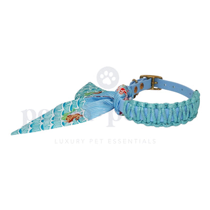 Florine Collar | Twinkle