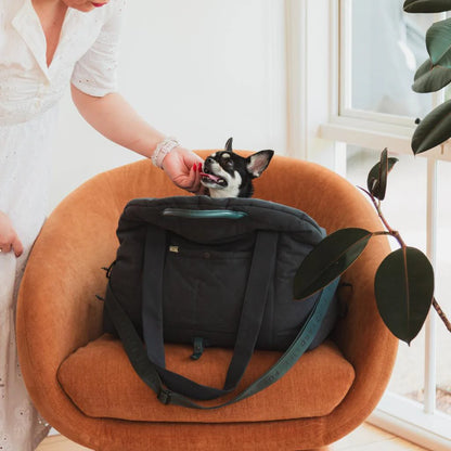 Multipurpose Carrier &amp; Car Seat | Slate Gray