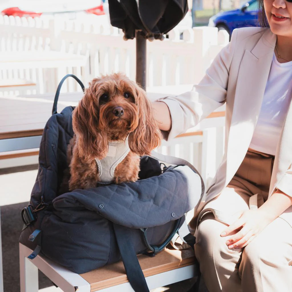 Multipurpose Carrier &amp; Car Seat | Slate Gray